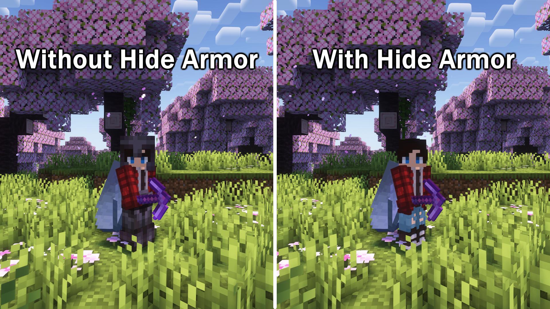 Hide Armor Preview